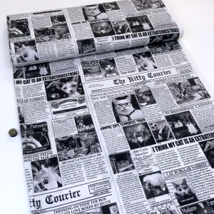 Cat Burglar Newsprint