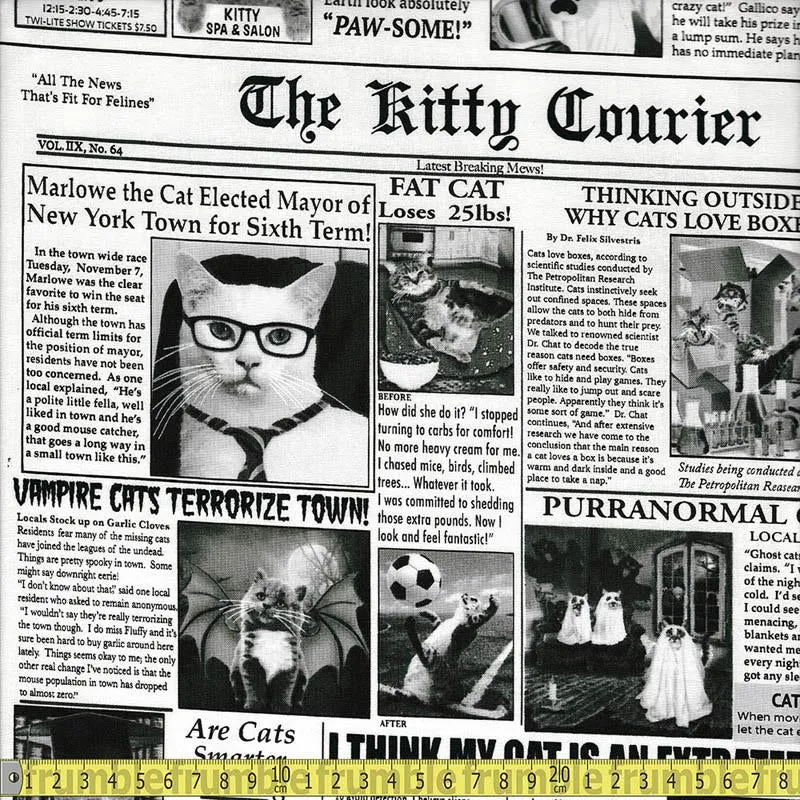 Cat Burglar Newsprint