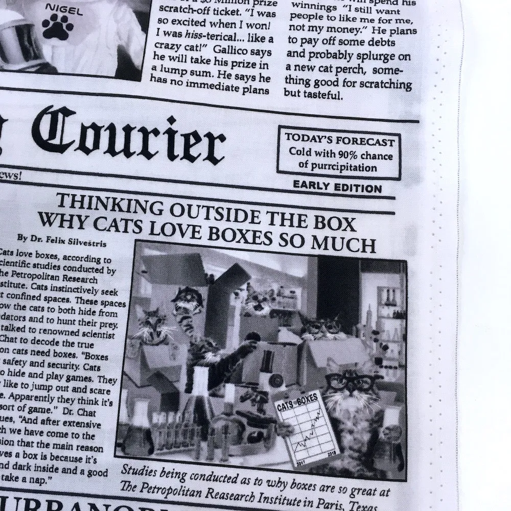 Cat Burglar Newsprint