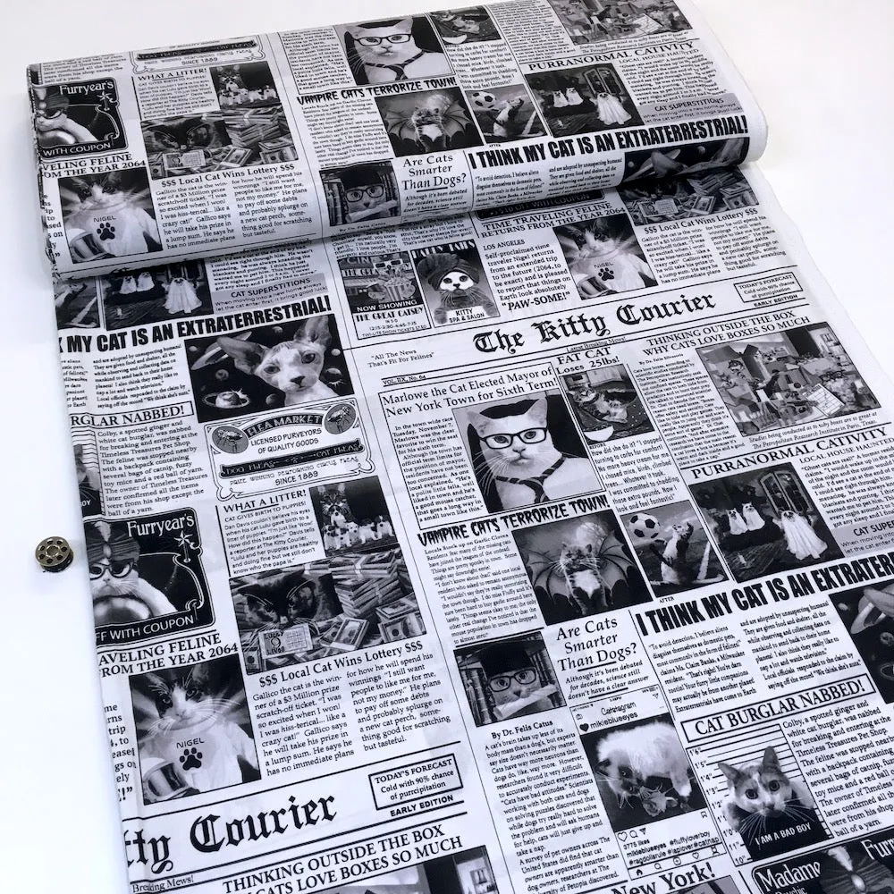 Cat Burglar Newsprint