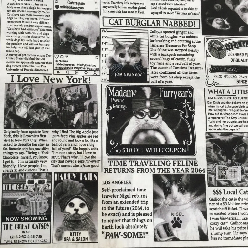 Cat Burglar Newsprint