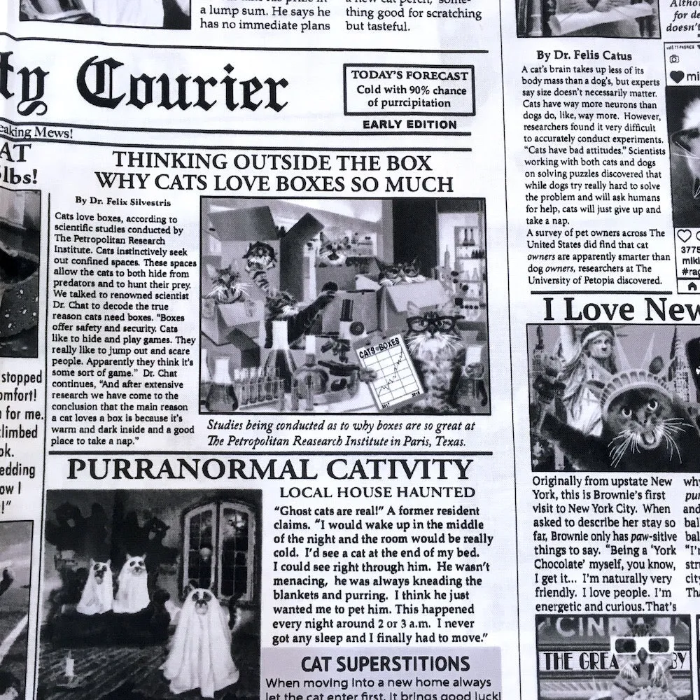 Cat Burglar Newsprint