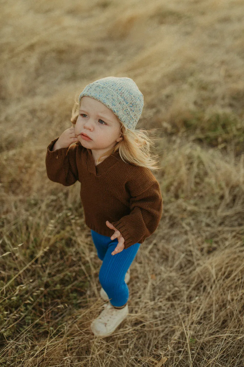 Grown Organic Collar Pull Over Espresso