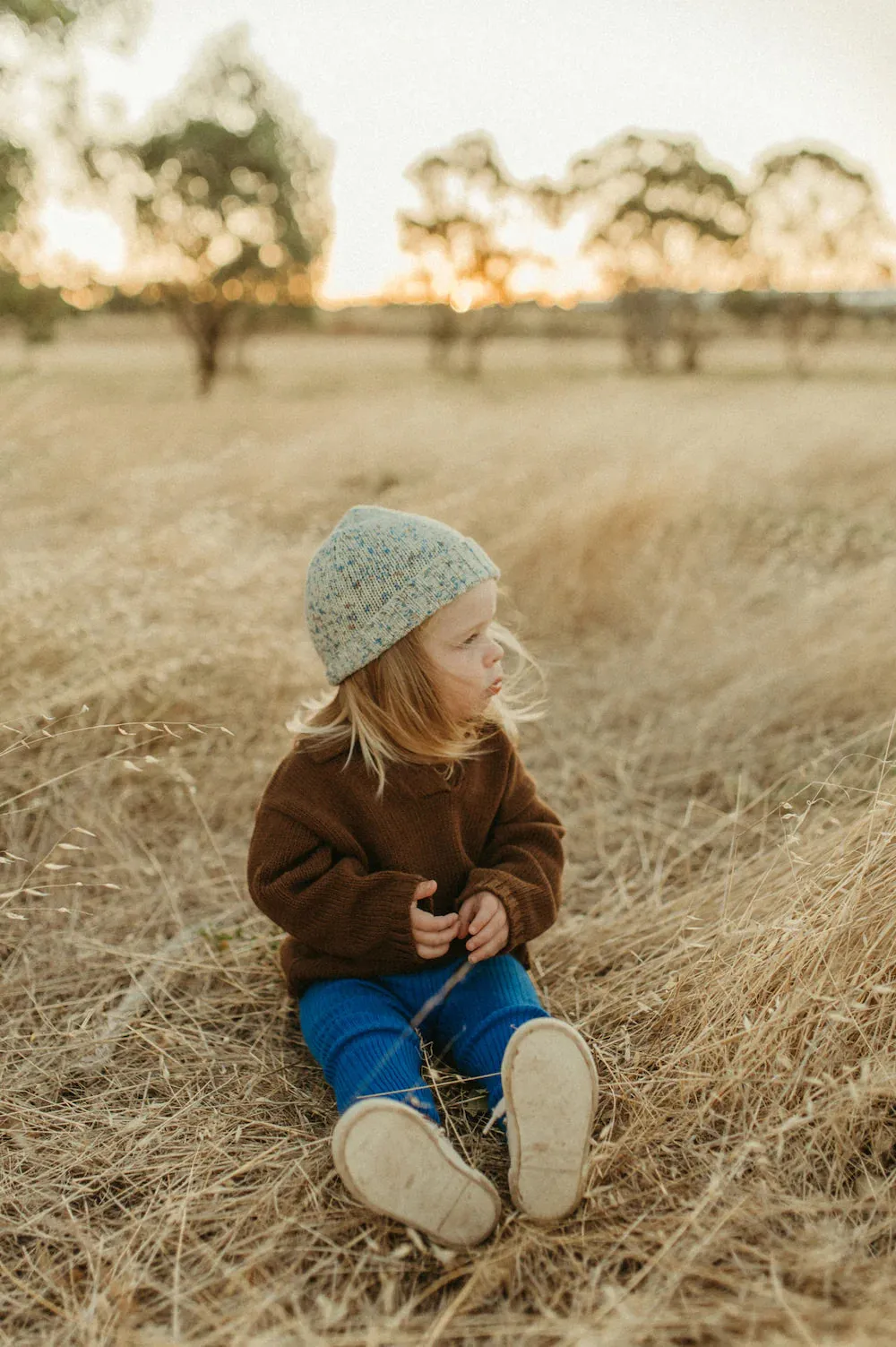 Grown Organic Collar Pull Over Espresso