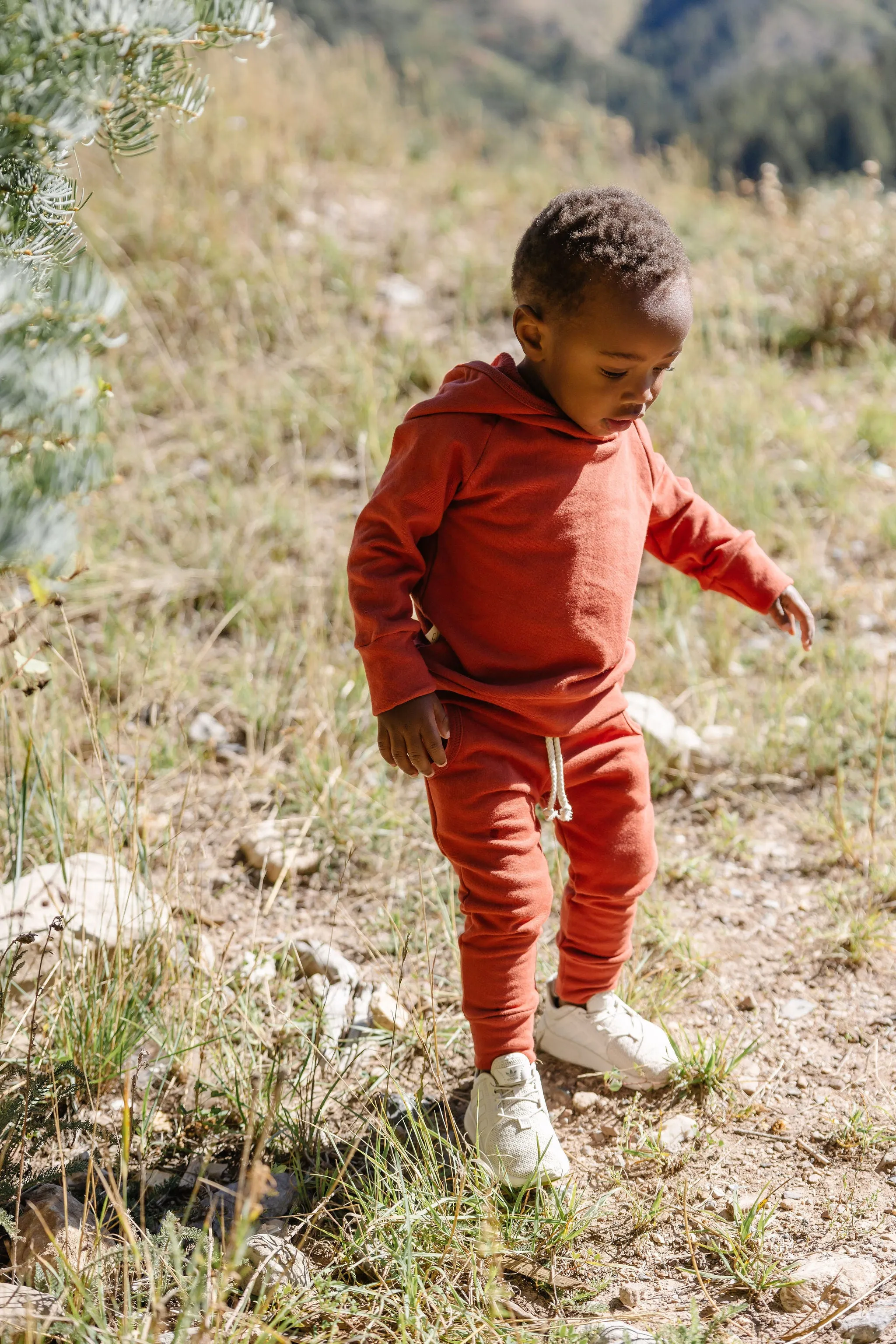 original jogger - barn red